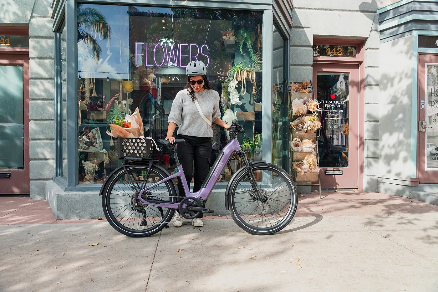 Электровелосипед Aventon Level 4 ADV ST Haze MR