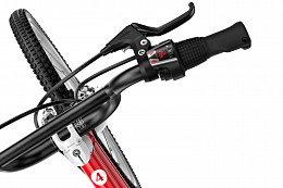 Детский велосипед Woom go 4 red 20”