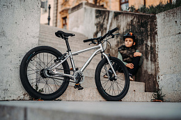 Детский велосипед Early Rider Seeker Brushed Aluminium 24"